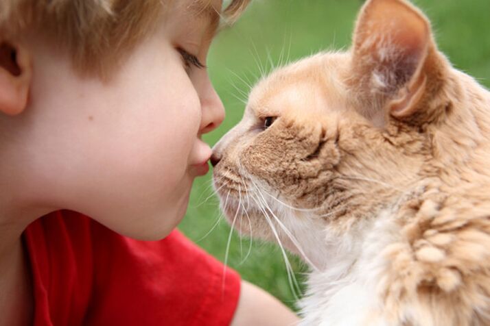 يمكن أن يصاب جميع الأطفال بالديدان من خلال ملامسة الحيوانات. 