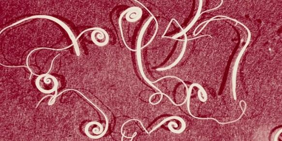 صور الطفيليات البشرية